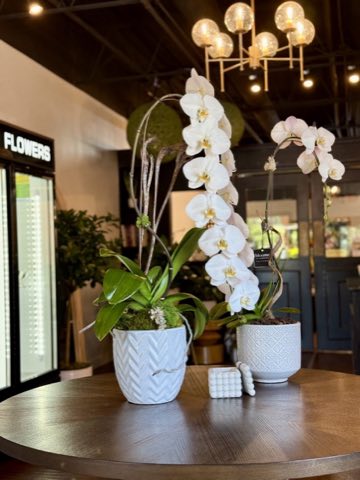 Floral Matters photo