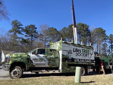 Life's Tree Doctor, LLC photo