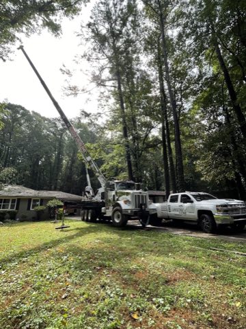 Life's Tree Doctor, LLC photo