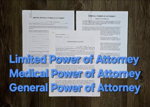 Lisa's Mobile Apostille & Notary photo