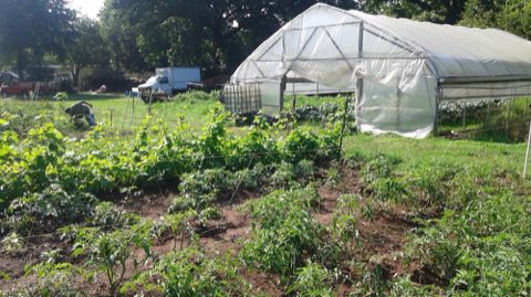 Metro Atlanta Urban Farm photo