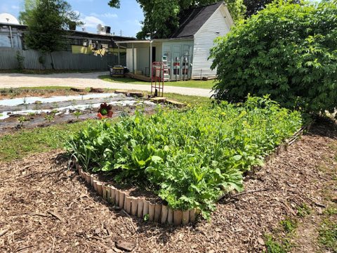 Metro Atlanta Urban Farm photo