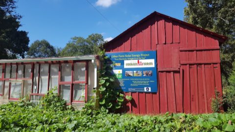 Metro Atlanta Urban Farm photo