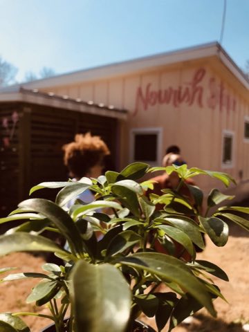Nourish Botanica photo
