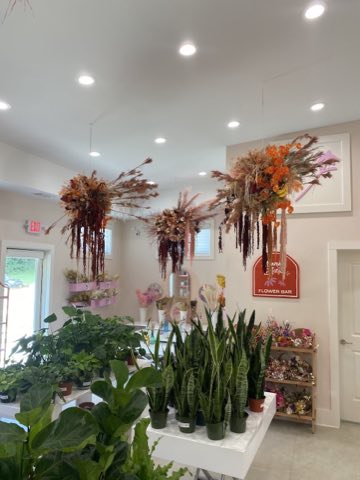 Nourish Botanica photo