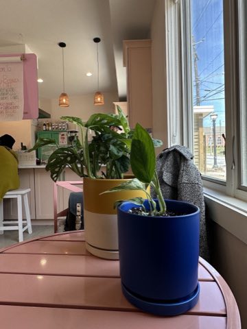 Nourish Botanica photo