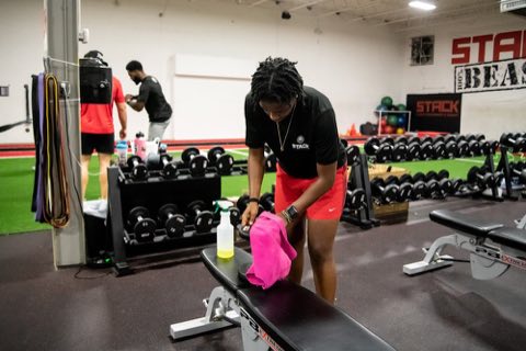 STACK Sports Performance & Therapy photo